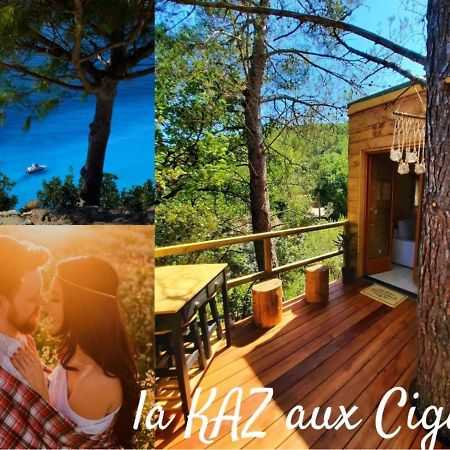Cabane Dans Les Arbres "La Kaz Aux Cigales" Кюерс Екстериор снимка