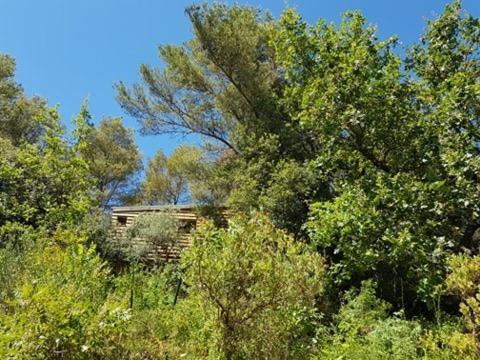 Cabane Dans Les Arbres "La Kaz Aux Cigales" Кюерс Екстериор снимка