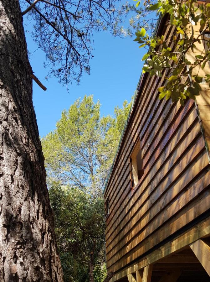 Cabane Dans Les Arbres "La Kaz Aux Cigales" Кюерс Екстериор снимка