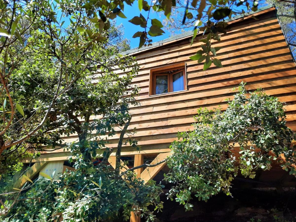 Cabane Dans Les Arbres "La Kaz Aux Cigales" Кюерс Екстериор снимка